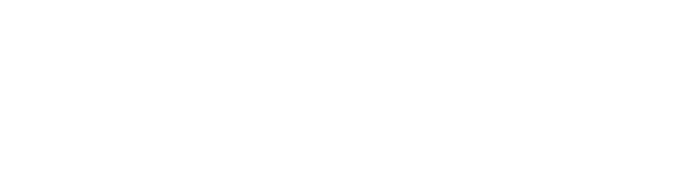 Vienna's Wedding Cars